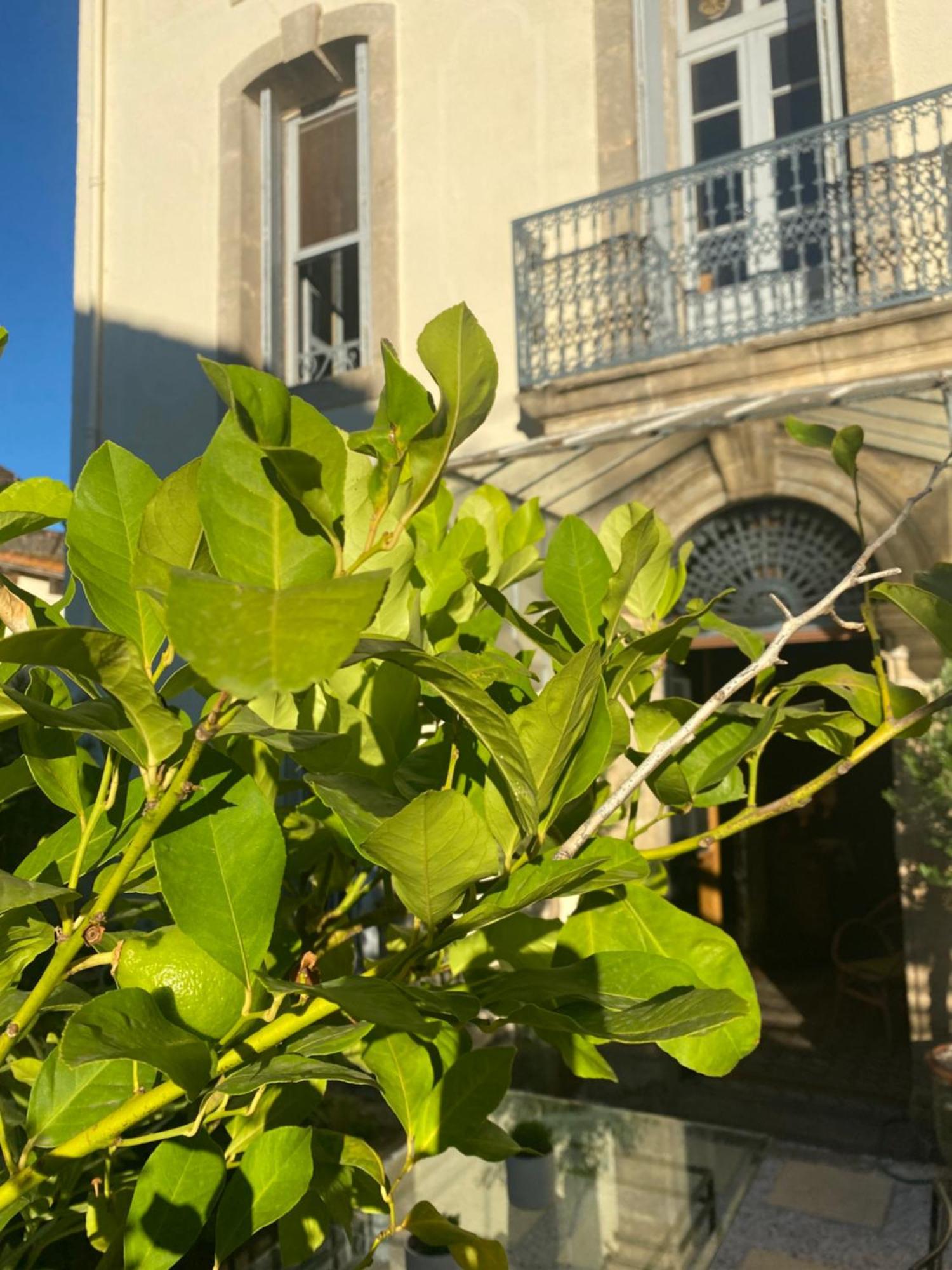 Hotel Le Jardin Aspiran Zewnętrze zdjęcie